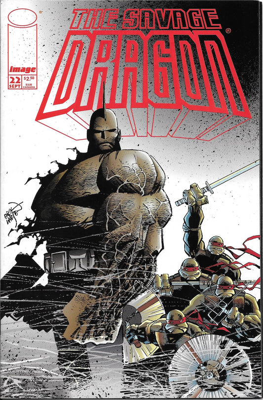 Savage Dragon #22 NM